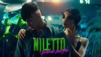 NILETTO - Someone like you