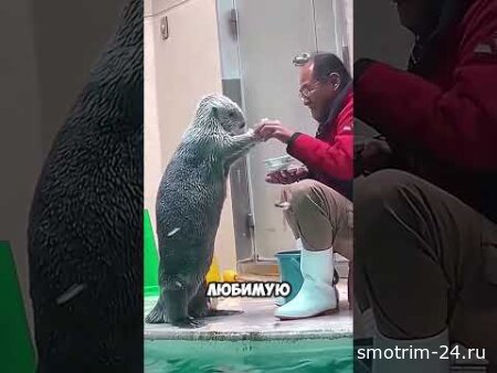 Самое милое животное