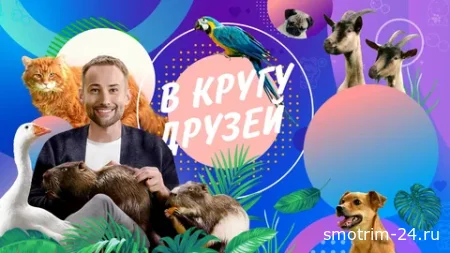В кругу друзей 16.11.2025
